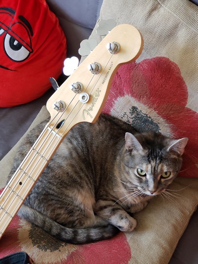 Zoe - All About the Bass!